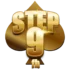logostep9fb